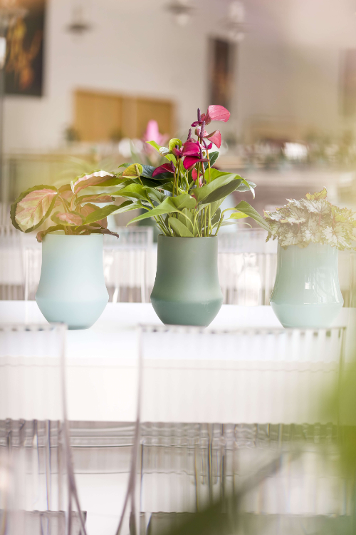 Hochwertige & nachhaltige Produkte