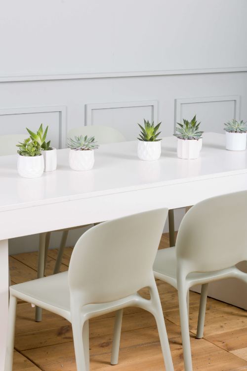 Hochwertige & nachhaltige Produkte